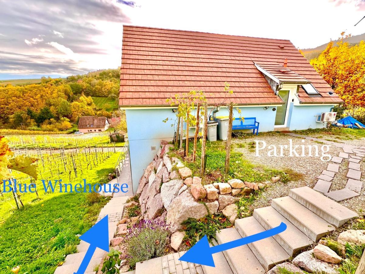 Janea Big Blue House Lägenhet Reichsfeld Exteriör bild